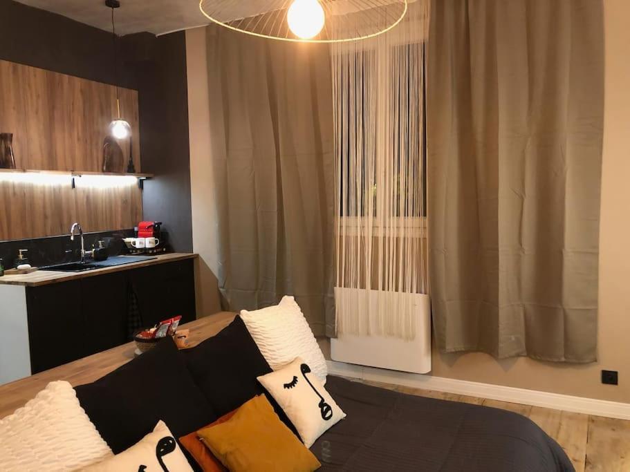 Le Tulum, T2, Hyper-Centre, Place Aux Herbes Macon Exterior photo